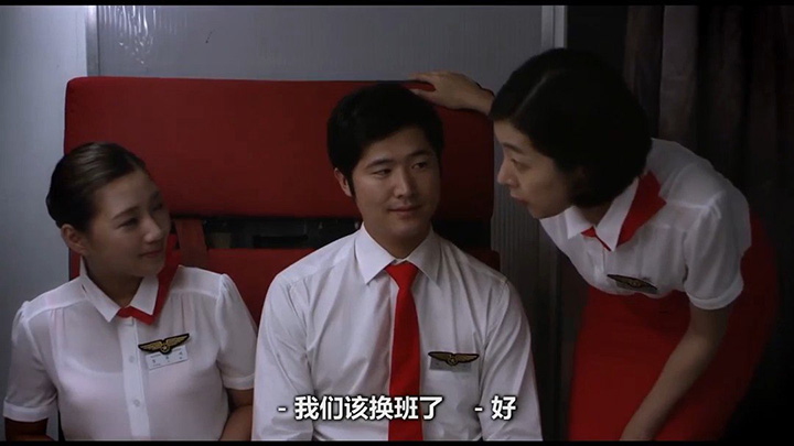 诱人的飞行HD中字